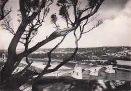 Delcampe - 84 AVIGNON LE PONT ST BENEZET SUR LE RHONE - Avignon