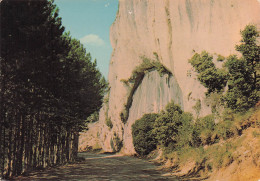Delcampe - 84 MALAUCENE LE PORTAIL SAINT JEAN - Malaucene