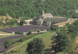 Delcampe - 84 GORDES ABBAYE DE SENANQUE - Gordes