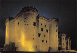 Delcampe - 13 TARASCON LE CHATEAU DU ROY RENE - Tarascon