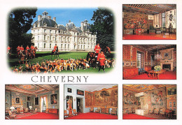 Delcampe - 41 CHEVERNY CHATEAU DE CHEVERNY - Cheverny