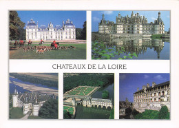 Delcampe - 41 CHEVERNY CHATEAU DE CHEVERNY - Cheverny