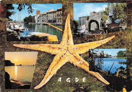Delcampe - 34 AGDE LE CANAL DU MIDI - Agde