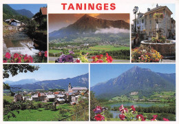 Delcampe - 74 TANINGES VUE SUR LE MONT CRIOU - Taninges