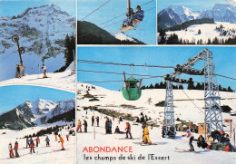 Delcampe - 74 ABONDANCE LES CHAMPS DE SKI DE L ESSERT - Abondance