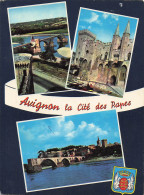 Delcampe - 84 AVIGNON PONT SAINT BENEZET - Avignon