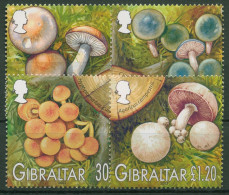 Delcampe - Gibraltar 2003 Einheimische Pilze 1054/57 Postfrisch - Gibraltar