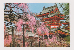 Delcampe - JAPAN The Heian Shrine Traditional Temple View, Vintage Photo Postcard RPPc /84680 - Sammlungen & Sammellose
