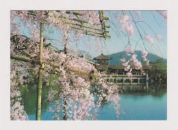 Delcampe - JAPAN The Heian Shrine Traditional Temple View, Vintage Photo Postcard RPPc /84686 - Sammlungen & Sammellose
