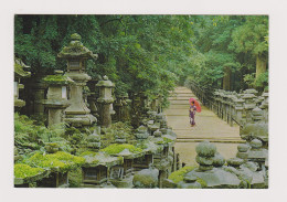 Delcampe - JAPAN Nara Prefecture The Grand Shrine Of Kasuga View, Vintage Photo Postcard RPPc /84687 - Sammlungen & Sammellose