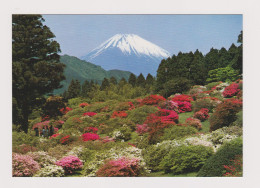 Delcampe - JAPAN Mount Fuji - Volcano View, Vintage Photo Postcard RPPc /84685 - Sammlungen & Sammellose