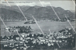Delcampe - Bf252 Cartolina Stresa Pallanza E Le Isole Repubblica Sociale 1944 Verbania - Biella