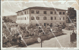 Delcampe - Bf301 Cartolina Chianciano Bagni Albergo Le Fonti Provincia Di Siena - Siena
