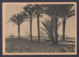 Delcampe - Vintage Postcard EGYPT, Pyramids Of Giza Egypt - Pyramiden