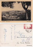 Delcampe - # AMELIA: PANORAMA (3)  1950 - Terni