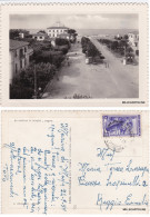 Delcampe - # MARINA DI MASSA: DOGANA     1951 - Massa