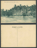 Delcampe - Burma Old Postcard Betel Palms On River Bank Palm Trees American Baptist Mission - Myanmar (Burma)