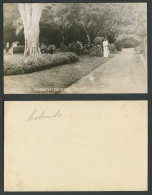 Delcampe - Ceylon Old Real Photo Card Cinnamon Gardens Colombo Garden Flowers Trees Natives - Sri Lanka (Ceylon)