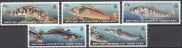 Delcampe - BAT 1999, Antarctic Fishes, 5val - Ongebruikt