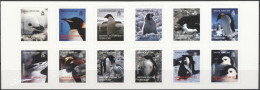 Delcampe - BAT 2006, Penguins, Adhesive Booklet - Ongebruikt