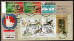 Delcampe - Argentina - 2024 - Letter - Philatelic Thematic - Modern Stamps - Diverse Stamps - Lettres & Documents