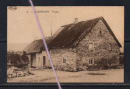Delcampe - ELSENBORN BUTGENBACH FERME - Butgenbach - Bütgenbach
