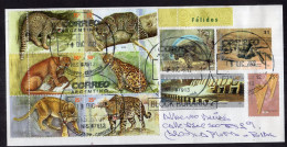 Delcampe - Argentina - 2022 - Letter - Philatelic Thematic - Modern Stamps - Diverse Stamps - Lettres & Documents