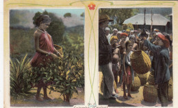 Delcampe - CEYLON-SRI LANKA-COLOMBO-TEA PLUKING-POSTCARD VIAGGIATA NEL 1906 - Sri Lanka (Ceylon)
