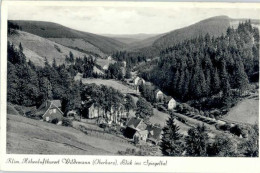 Delcampe - Wildemann Harz Goslar Niedersachsen - Wildemann