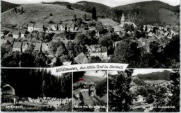 Delcampe - Wildemann Harz Goslar Niedersachsen - Wildemann