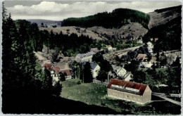 Delcampe - Wildemann Harz Goslar Niedersachsen - Wildemann