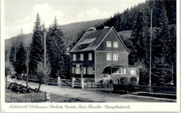 Delcampe - Wildemann Harz Goslar Niedersachsen Pension Haus Hueneke - Wildemann