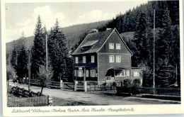 Delcampe - Wildemann Harz Goslar Niedersachsen Pension Haus Hueneke - Wildemann