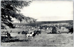 Delcampe - Neuhaus Solling - Holzminden