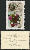 Delcampe - CAT, ROSES Old Postcard Joy On Your Birthday Dear NIECE - Katten