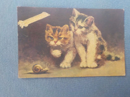 Delcampe - AU + RAPIDE  -  CPSM  - DEUX JEUNES CHATS - JOYEUX ANNIVERSAIRE - CARTE GAUFFREE - NON  VOYAGEE - FORMAT CPA - Katten