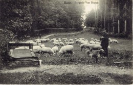 Delcampe - Ukkel Uccle Bergerie  Van Bogget - Philippeville