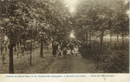 Delcampe - Louvain Heverle Sacre Coeur Allee Des Marronniers - Leuven