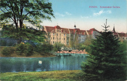 Delcampe - AK Posen Botanischer Garten Schwan Teich Posen Ungelaufen Postkarte - Posen