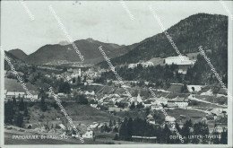 Delcampe - Bf340 Cartolina Panorama Di Tarvisio - Udine