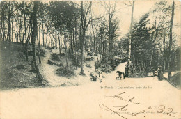 Delcampe - 94* ST MANDE  Les Rochers Pres Du Lac   RL14.0538 - Saint Mande