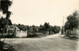 Delcampe - 94* LA QUEUE EN BRIE  Le Lotissement - Rue Lamartine  (CPSM 9x14cm)   RL14.0529 - La Queue En Brie