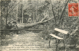 Delcampe - 94* VINCENNES   Cyclone 1908 -  Arbre Deracine       RL14.1031 - Vincennes