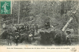 Delcampe - 94* VINCENNES   Cyclone 1908 -  Arbre Deracine   - Enfants     RL14.1036 - Vincennes