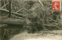 Delcampe - 94* VINCENNES    Cyclone 1908 -  Arbre Deracine   RL14.1026 - Vincennes