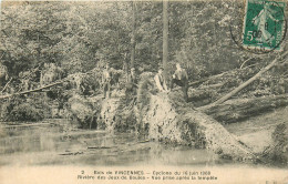 Delcampe - 94* VINCENNES   Cyclone 1908 -  Arbre Deracine       RL14.1029 - Vincennes