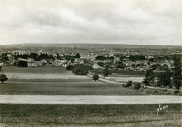 Delcampe - 86* CHATELLERAULT  Vue Generale   (CPSM 10x15cm)    RL19,0235 - Chatellerault