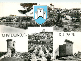Delcampe - 84* CHATEAUNEUF DU PAPE Multi-vues (CPSM 10x15cm)    RL19,0119 - Chateauneuf Du Pape