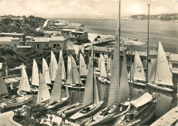 Delcampe - 83* BANDOL  Ile Bandor  - Voiliers Dans Le Port  (CPSM 10x15cm)        RL19,0114 - Bandol