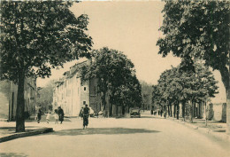 Delcampe - 83* DRAGUIGNAN     Bd Jean Jaures  (CPSM 10x15cm)   RL19,0092 - Draguignan